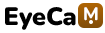 deiviin